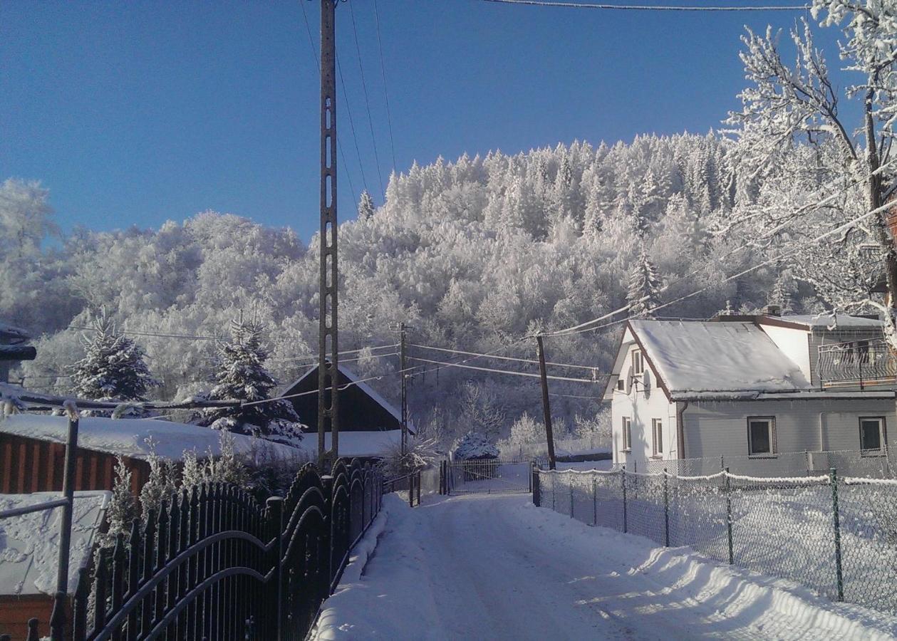 Apartament Nad Strumykiem Appartement Tylicz Buitenkant foto